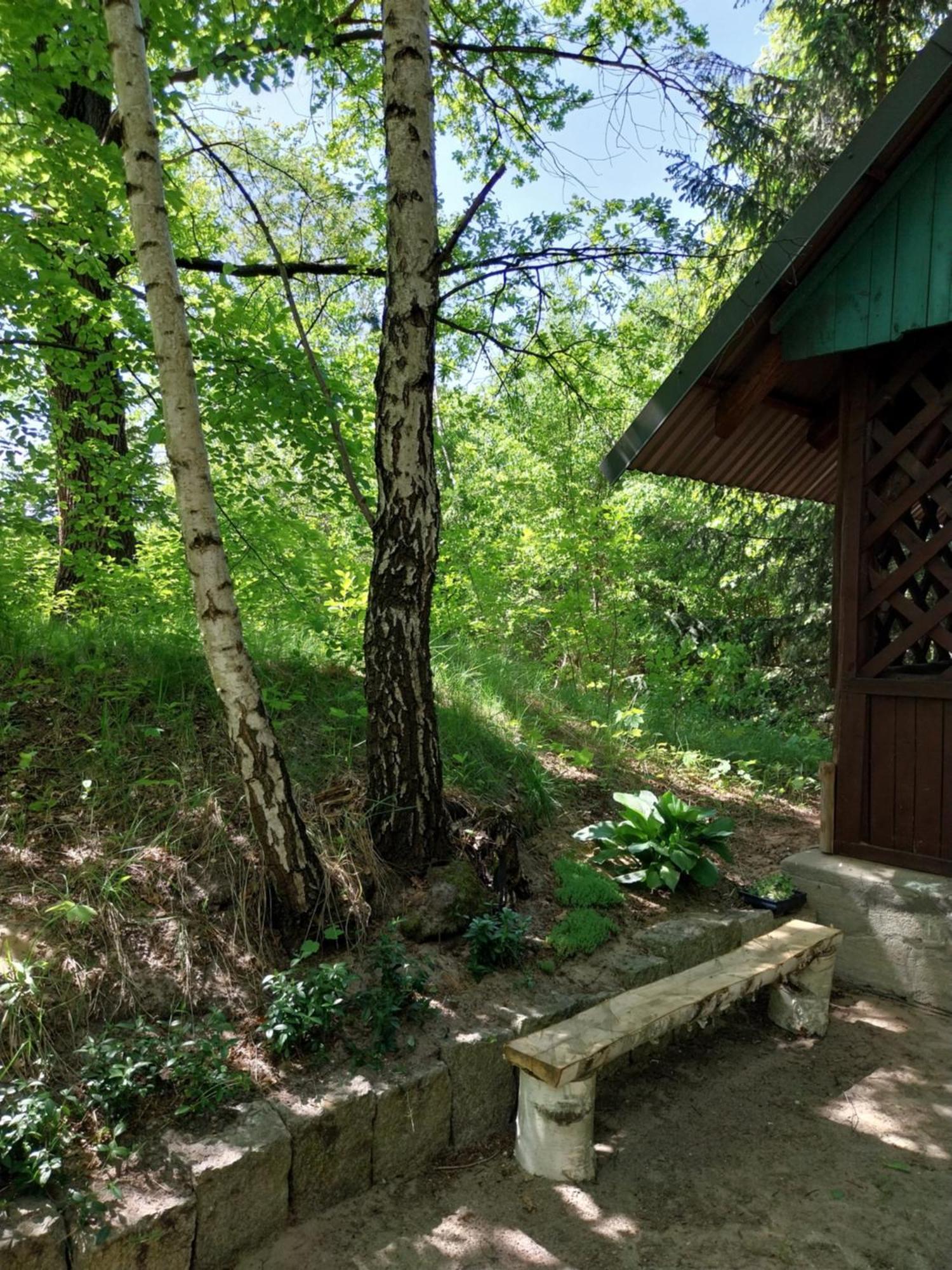 Chmiel Ii Nad Jeziorem Tarnobrzeskim Villa Chmielow