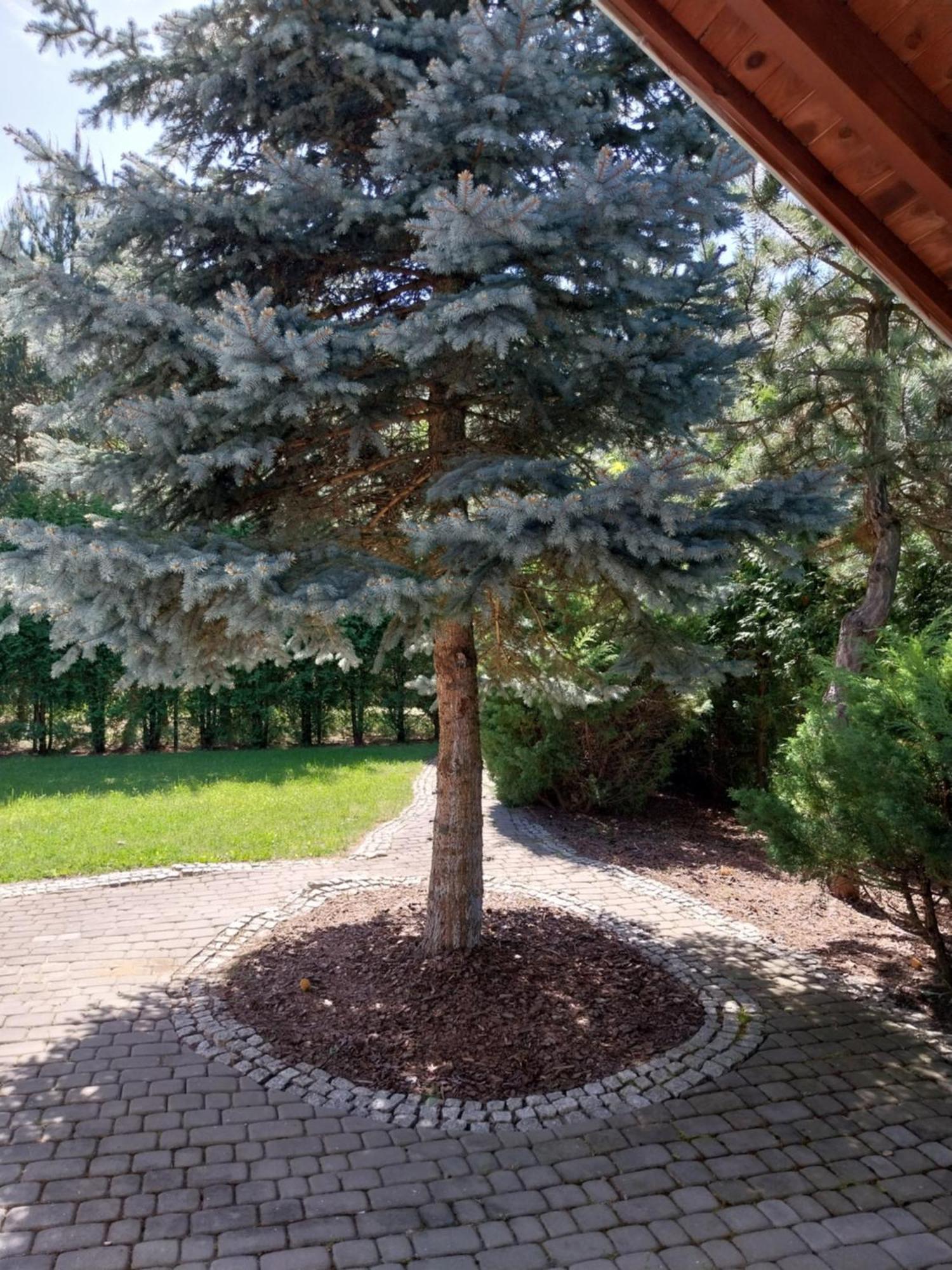 Chmiel Ii Nad Jeziorem Tarnobrzeskim Villa
