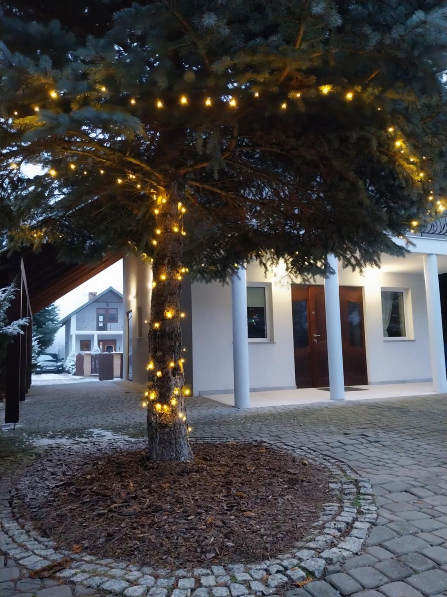 Chmiel Ii Nad Jeziorem Tarnobrzeskim Villa